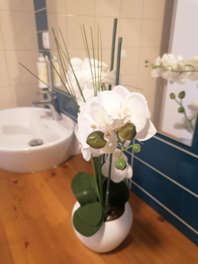 Apartamento Graciosa - Sta Catarina Place Ponta Delgada Exterior foto